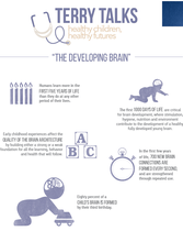 Terry Talks: The Developing Brain (Infographic - Low Ink)