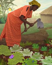 Garden Image - Africa