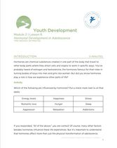 Youth Development Curriculum Module 2, Lesson 6