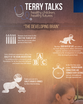 Terry Talks: The Developing Brain (Infographic)