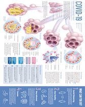 COVID-19 Infographic