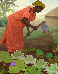 Garden Image - Africa