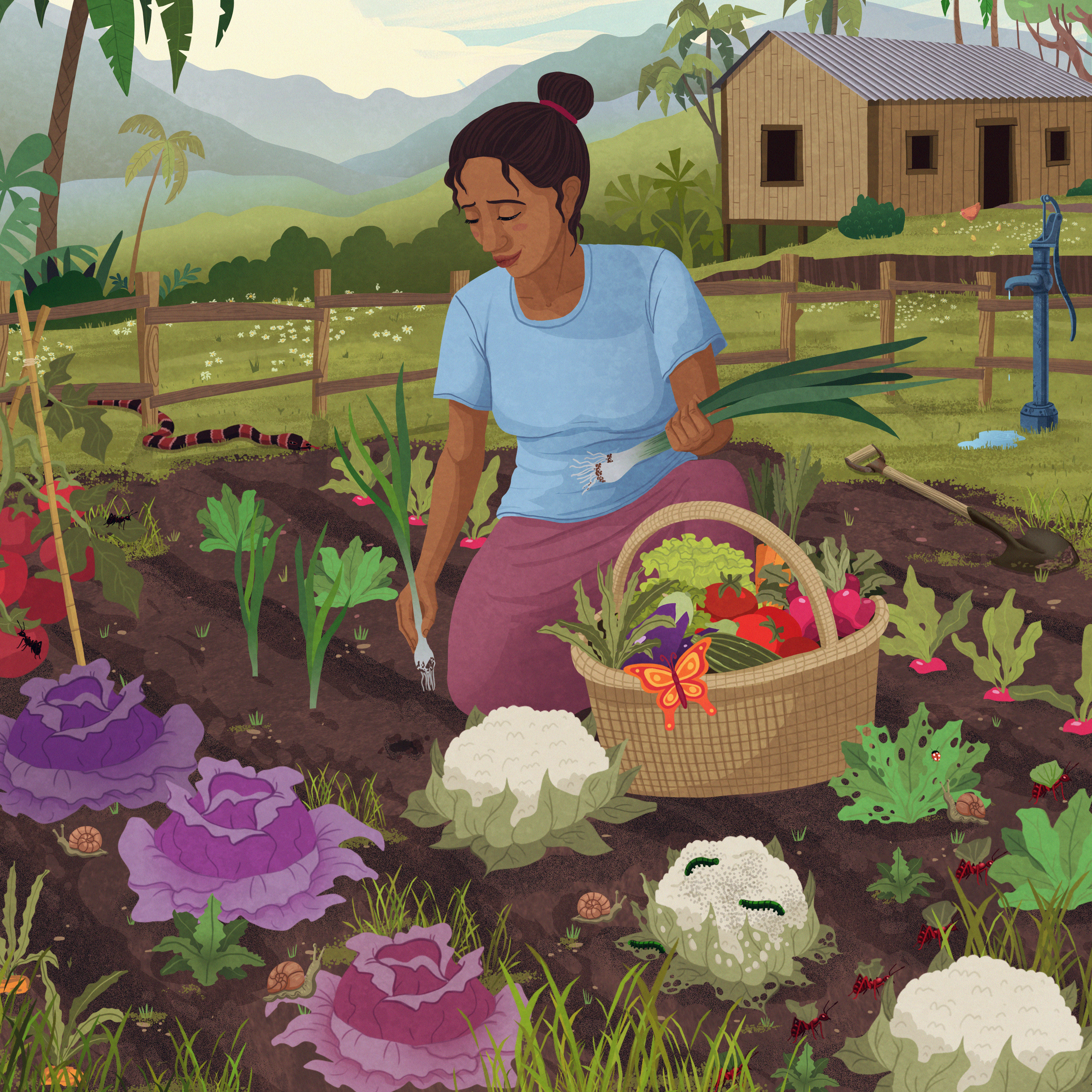 Latin American woman sitting in garden, gathering vegetables